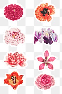 Vintage flower sticker collection
