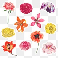 Vintage flower sticker collection