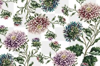 Vintage large double china aster flower pattern background design resource