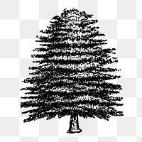 Tree clipart png, black ink drawing, digitally enhanced from our own original copy of The Open Door to Independence (1915) by Thomas E. Hill.