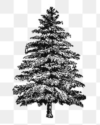 Tree sticker png, black ink drawing, digitally enhanced from our own original copy of The Open Door to Independence (1915) by Thomas E. Hill.