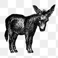 Donkey sticker png, black ink drawing, digitally enhanced from our own original copy of The Open Door to Independence (1915) by Thomas E. Hill.