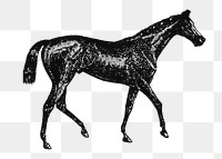 Horse sticker png, black ink drawing, digitally enhanced from our own original copy of The Open Door to Independence (1915) by Thomas E. Hill.