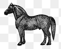 Horse sticker png, black ink drawing, digitally enhanced from our own original copy of The Open Door to Independence (1915) by Thomas E. Hill.