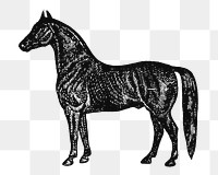 Horse sticker png, black ink drawing, digitally enhanced from our own original copy of The Open Door to Independence (1915) by Thomas E. Hill.