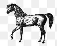 Horse sticker png, black ink drawing, digitally enhanced from our own original copy of The Open Door to Independence (1915) by Thomas E. Hill.