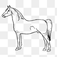 Horse sticker png, black ink drawing, digitally enhanced from our own original copy of The Open Door to Independence (1915) by Thomas E. Hill.