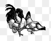 Chicken sticker png, black ink drawing, digitally enhanced from our own original copy of The Open Door to Independence (1915) by Thomas E. Hill.