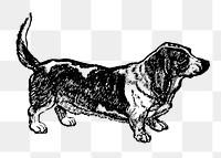 Basset Hound dog png collage element, black ink drawing, digitally enhanced from our own original copy of The Open Door to Independence (1915) by Thomas E. Hill.