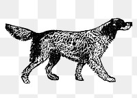 English Setter dog png collage element, black ink drawing, digitally enhanced from our own original copy of The Open Door to Independence (1915) by Thomas E. Hill.