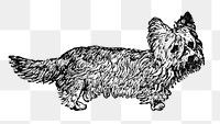 Prick Ear Skye Terrier dog png collage element, black ink drawing, digitally enhanced from our own original copy of The Open Door to Independence (1915) by Thomas E. Hill.