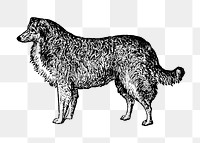 Collie dog png collage element, black ink drawing, digitally enhanced from our own original copy of The Open Door to Independence (1915) by Thomas E. Hill.