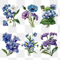 Flower sticker png, watercolor illustration set on transparent background, digitally enhanced from our own original copy of The Open Door to Independence (1915) by Thomas E. Hill.