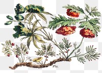 Vintage flower png illustration, featuring public domain remix from the artworks by Jean&ndash;Baptiste Pillement