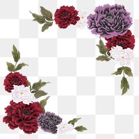 Colorful peony png frame, flower collage element on transparent background