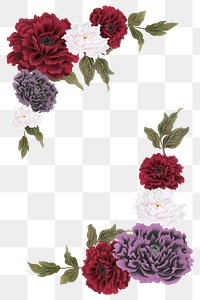 Colorful peony png frame, flower collage element on transparent background