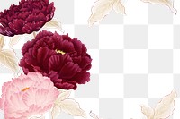 Peony png frame, red, pink, and white flower, floral design on transparent background