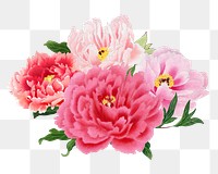 Pink peony png sticker, botanical flower design element on transparent background