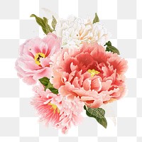 Peony png sticker, aesthetic flower clipart, floral & botanical style on transparent background