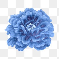 Japanese peony flower png clipart, blue botanical floral design on transparent background