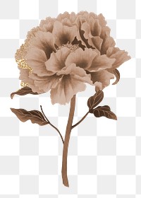 Brown peony png sticker, botanical flower design element on transparent background