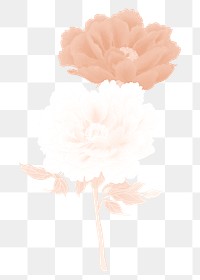 Peony png sticker, aesthetic flower clipart, floral & botanical style on transparent background
