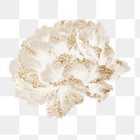 Peony flower png design element, aesthetic botanical style on transparent background