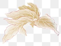 Gold leaf png sticker, floral & botanical style on transparent background