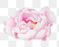 Pink peony png sticker, botanical flower design element on transparent background