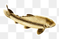Gold carp fish sticker design element