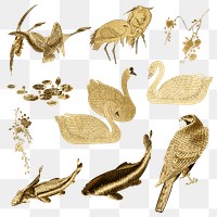 Gold animals design element set on transparent background 