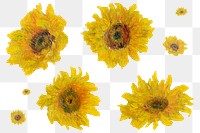 Sunflowers png set remixed from the artworks of Claude Monet.