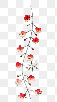 Traditional Japanese sakura ornamental png element, remix of artwork by Watanabe Seitei