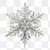Winter snowflake Christmas ornament png macro photography, remix of photography by Wilson Bentley