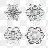 Icy snowflake png set Christmas ornament macro photography, remix of photography by Wilson Bentley