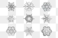 Season&rsquo;s greetings snowflake png Christmas ornament macro photography set, remix of photography by Wilson Bentley