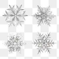 Icy snowflake png set macro photography, remix of art by Wilson Bentley