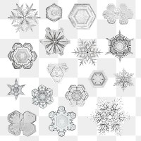 Winter snowflake transparent set Christmas ornament macro photography, remix of photography by Wilson Bentley