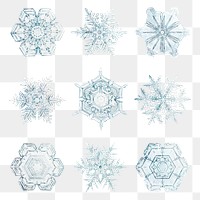 New year snowflake png set Christmas ornament macro photography, remix of photography by Wilson Bentley