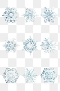 Christmas snowflake png set macro photography, remix of art by Wilson Bentley