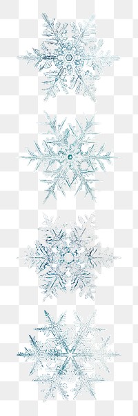 Snowflake transparent set Christmas ornament macro photography, remix of photography by Wilson Bentley