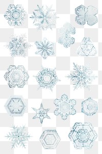 Snowflake png set Christmas ornament macro photography, remix of photography by Wilson Bentley