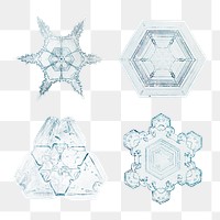 Snowflake png set Christmas ornament macro photography, remix of photography by Wilson Bentley