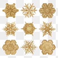 Christmas gold snowflake transparent set macro photography, remix of art by Wilson Bentley