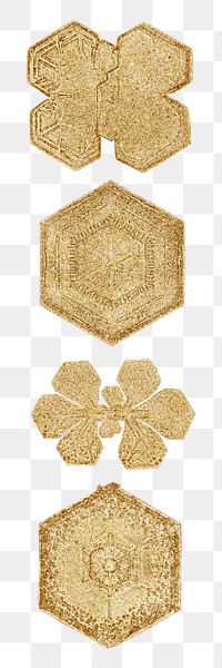 Gold snowflake png set Christmas ornament macro photography, remix of photography by Wilson Bentley
