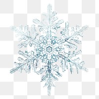 Winter snowflake png Christmas ornament macro photography, remix of photography by Wilson Bentley