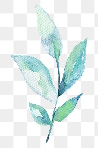 Branch watercolor design element transparent png