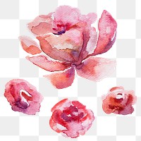 Flower watercolor design element transparent png