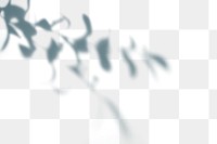 PNG Shadow of leaves, transparent background