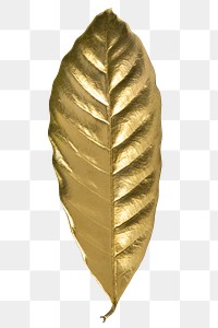 Shiny gold leaf transparent png